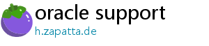 oracle support